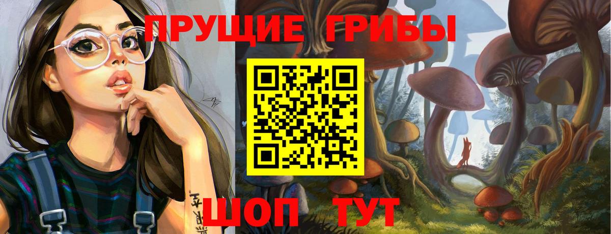 Псилоцибиновые грибы мицелий Сочи