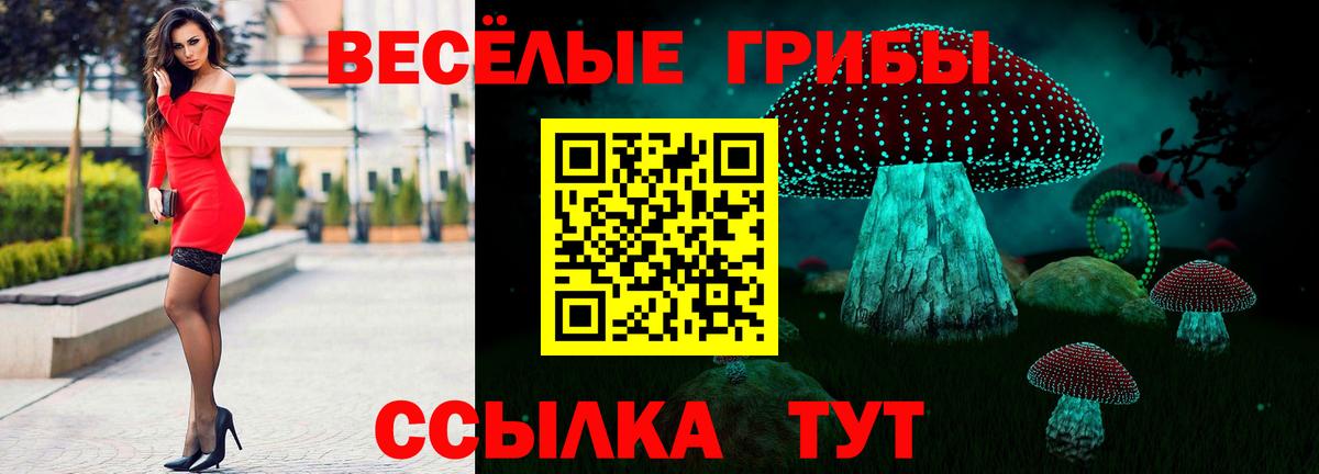 Галлюциногенные грибы Cubensis  Вход с VPN  Сочи 